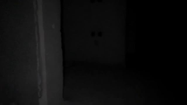 Ночь в доме с двумя призраками (ЧАСТЬ 1) смотреть онлайн