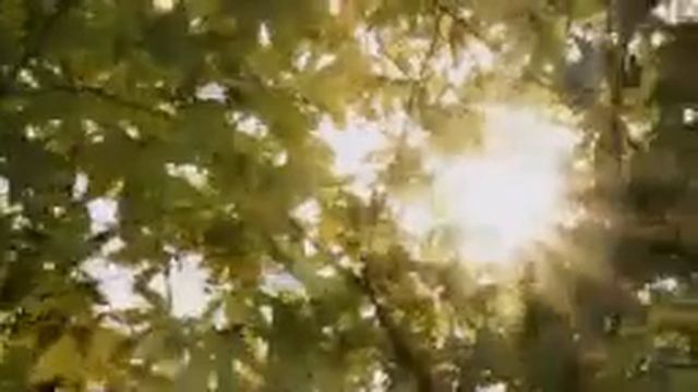 Boards of Canada - Olson (Behringer DeepMind 12 cover) смотреть онлайн