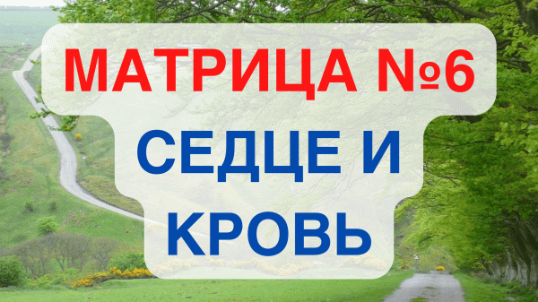 Исцеление Сердца и Всей Кровеносной Системы/Матрица №6