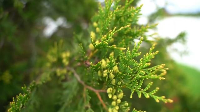 СЕМЕЙНЫЙ ОТЕЛЬ В ПОДМОСКОВЬЕ ДЛЯ ОТДЫХА С ДЕТЬМИ смотреть онлайн