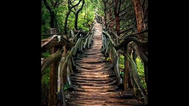 Enchanted Forest - Ambient/Psychill/Downtempo смотреть онлайн