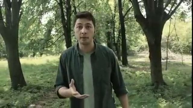 Не опускайте руки I Автор текста Владимир Ток смотреть онлайн