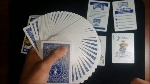 Deck Review - Bicycle Standard - Blue Version