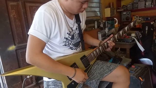 team TJ by grover jackson fly v Dmarzio Fred bridge and Ibanez INf3 neck with kill switch смотреть онлайн