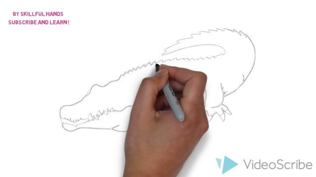 How to Draw a Crocodile / Как нарисовать крокодила смотреть онлайн