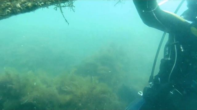 Абхазия - Дайвинг - Https://diving-abkhazia.ru/