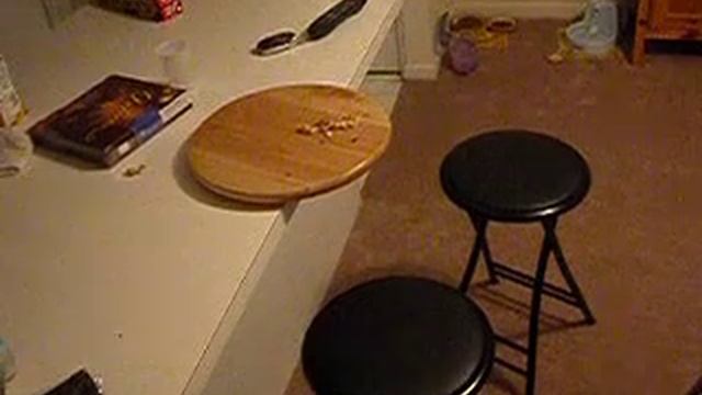 crazy cat games смотреть онлайн