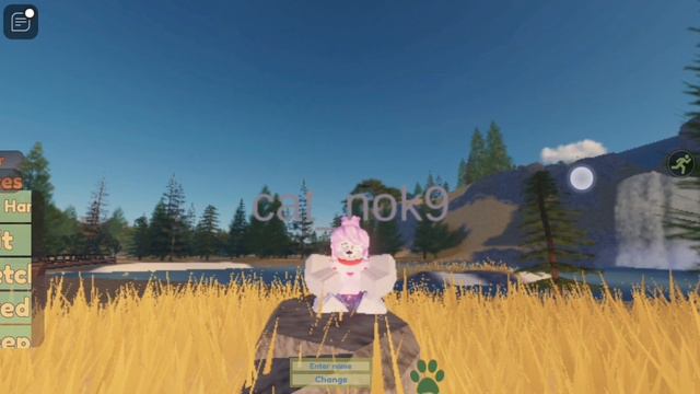 SVID_20240728_133612_1.mp4