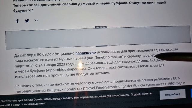 Едим мороженое "4 сыра", а в ЕС разрешили есть сверчков и червей. Но мы пока к этому не готовы! смотреть онлайн