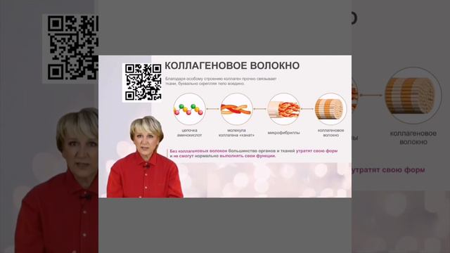 Коллаген "белок молодости". Часть1.О.А.Бутакова смотреть онлайн