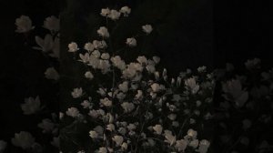 ЕРГЕН КУМАРОВ. ДЖУЗ АММА