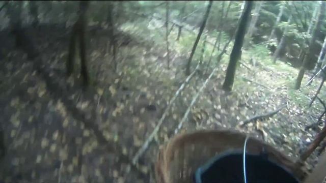 Рай для грибника смотреть онлайн