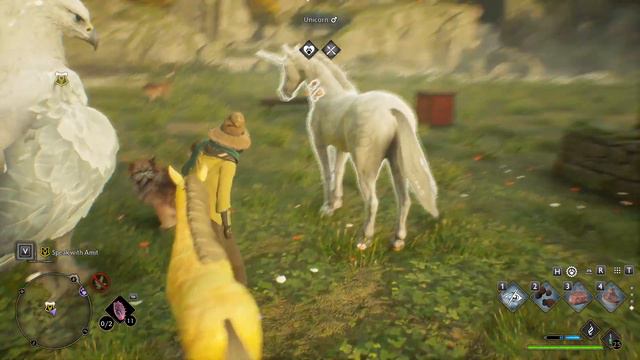 Hogwarts Legacy: Baby Golden Unicorn смотреть онлайн