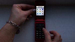 Samsung SGH-E210 Incoming call+ Phone Review