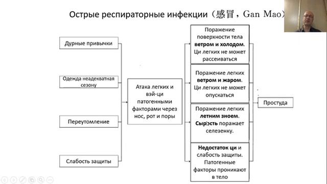 Гоголь И.А. Клиническая акупунктура при заболеваниях внутренних органов: бронхиальная астма, ОРЗ. смотреть онлайн