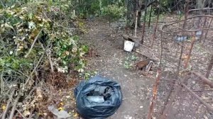 #18 МЫ купили ЗАБРОШЕННУЮ ДАЧУ / Одна на даче / Уборка / Расчистка участка