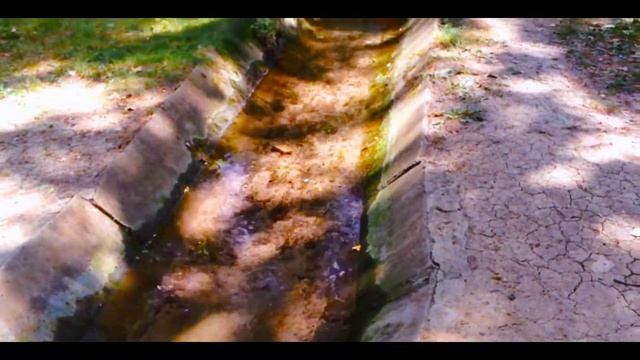 Заповедник «Аскания-Нова» 2017 | Дендропарк | ЧАСТЬ 1 | Full HD (1080p) смотреть онлайн