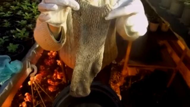 На стеллаже плесень? НЕТ! Как это сделано? смотреть онлайн