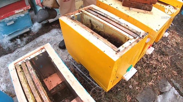 К сожалению, и такое бывает... Все рамки на замену после зимовки в ульях ППС... смотреть онлайн