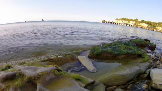 Релакс, море утренний штиль,спокойные волны.relax,HD смотреть онлайн