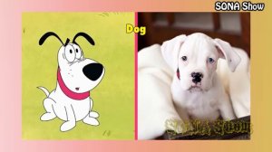 Pink Panther and Pals Characters IN REAL LIFE 👉@SONA_Show