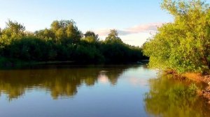 Исцеление от аритмии сердца 2 часть (2 вариант)  Для мужчин и женщин  Сытин Г.Н.