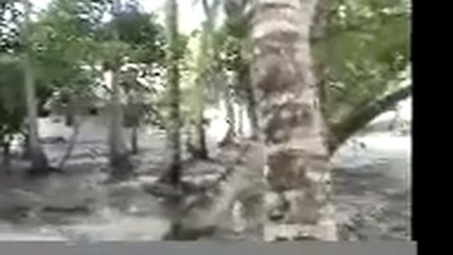 Carlos Creus Moreira During the Tsunami in Maldives смотреть онлайн