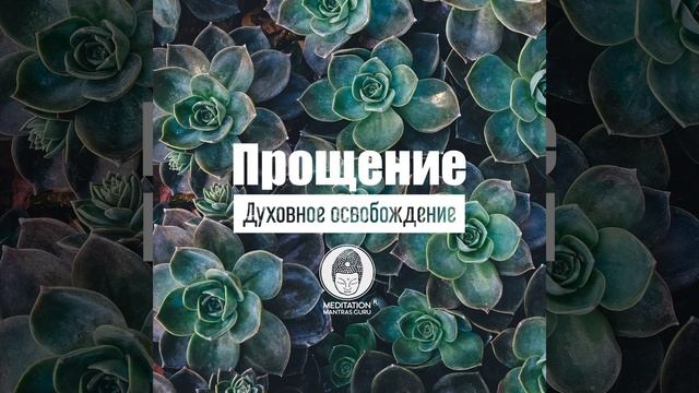 Освобождение смотреть онлайн