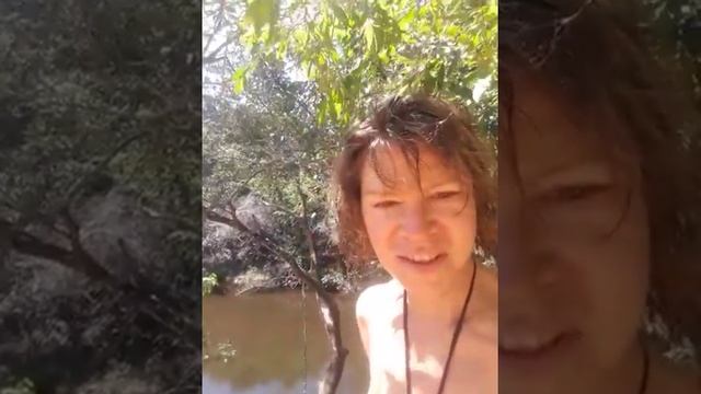 оригинальные идеи как встретить Новый год смотреть онлайн