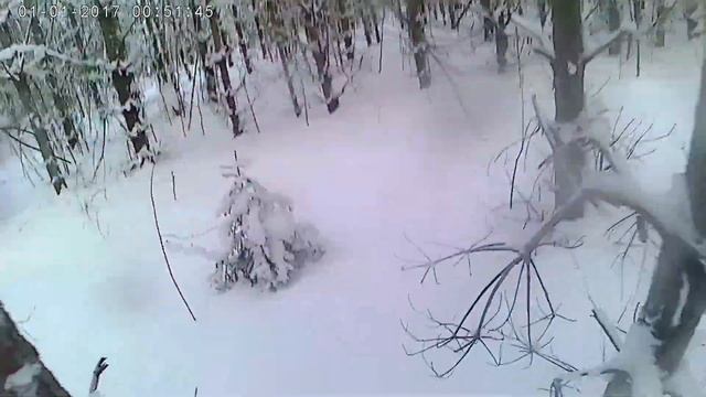 Один день охоты в Воскресенске смотреть онлайн