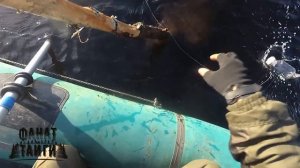 Как поймать налима? Мой способ ловли налима осенью. Налим на озере.