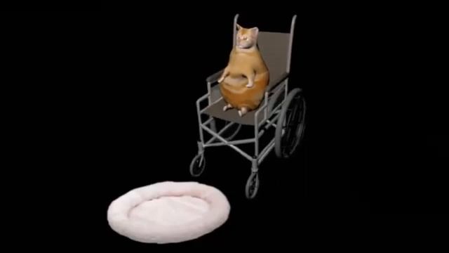 Кот упал с инвалидной коляски Ориг