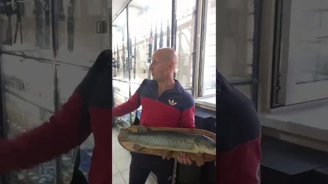 Чучело щуки. Где купить. Кривой рог.