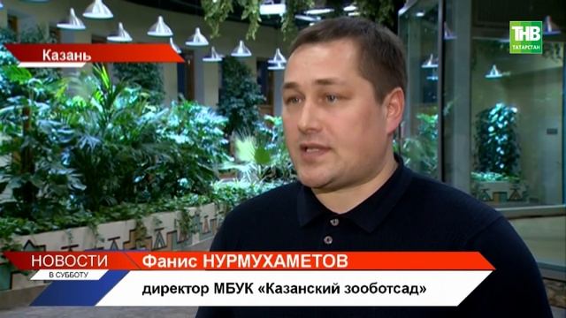 В Казани открылся новый зоопарк "Река Замбези" смотреть онлайн