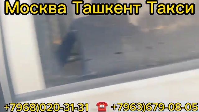 москва-ташкентАндижан Намангантакси санкт-петербург-ташкентФаргона такси#россия##ташкент#такси #тез смотреть онлайн