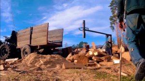 Заготовка дров