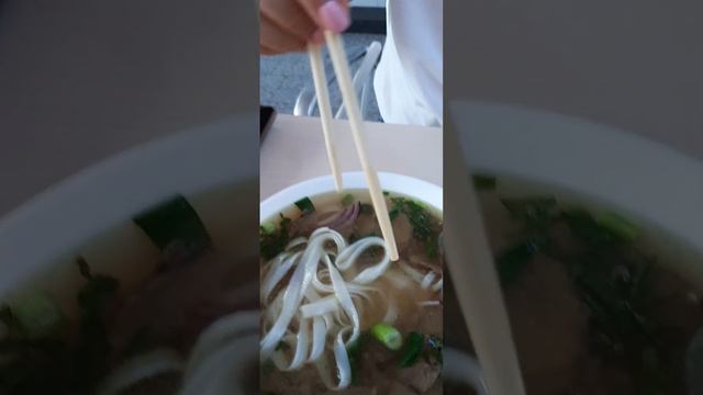 Вьетнамский обед в отпуске великолепен ? суп фо и лапша с говядиной ?