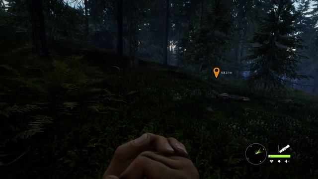 TheHunter - Call Of The Wild : Tracking Coyote's In Cheelah