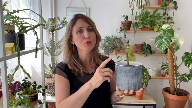 🌿 UNBOXING : JE DÉBALLE LES COLIS DE MES ABONNÉS ! 📦 PLANTES & AUTRES смотреть онлайн
