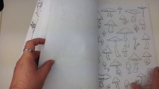Alice's Wonderfilled Adventures - Coloring Book Review - Abigail Larson смотреть онлайн