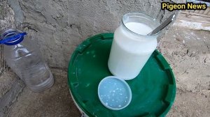 НАТУРАЛЬНЫИ ПРОБИОТИК ДЛЯ ГОЛУБЕИ