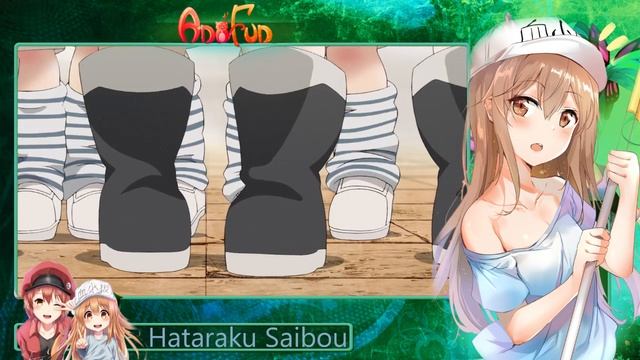 Обзор на аниме Работа клеток – Hataraku Saibou смотреть онлайн