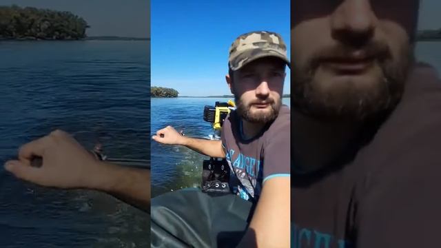 мотор из тримера едем на полном газу