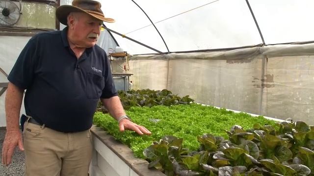 Aquaponics Greenhouse inspection. Plans that have gone well. смотреть онлайн