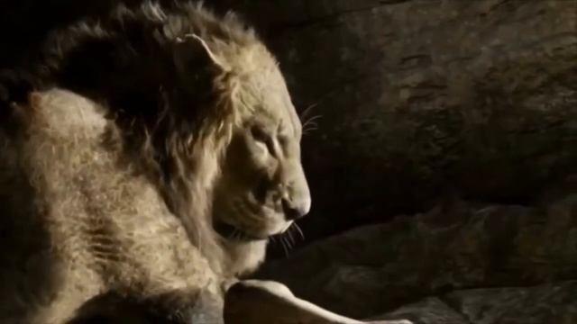 Арыстан патша 02 смотреть онлайн