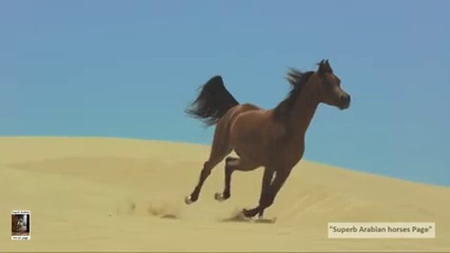 коняшки смотреть онлайн