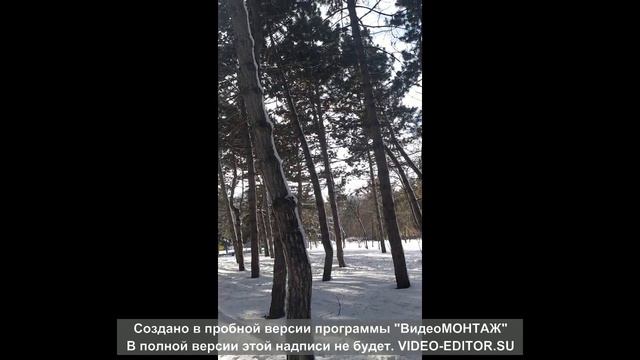 ЖЕСТЬ. Намело 28 января 2021. Нас ждет АРКАДИЯ. Едем посмотреть смотреть онлайн