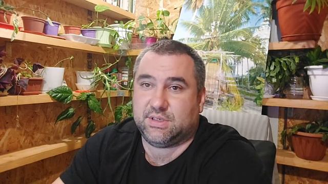 начал ремонт это ужас... смотреть онлайн