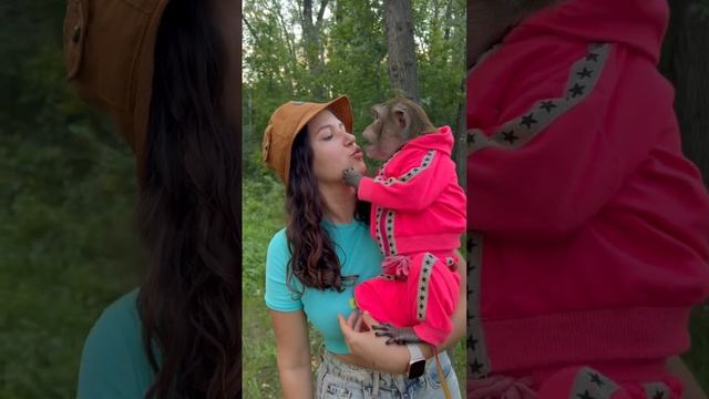 Обезьянья любовь ? смотреть онлайн