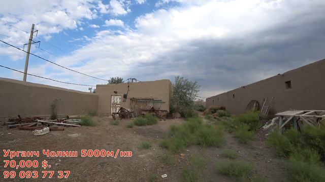 ТАЁР БИЗНЕС! УРГАНЧ ЧОЛИШДА ФЕРМА СОТИЛАДИ 5000М/КВ смотреть онлайн